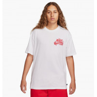 Футболка чоловіча Nike Sb S90 Dragon White FQ3719-101