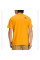 Футболка чоловіча The North Face Short Sleeve Places We Love Camp Geodesic T-Shirt NF0A811S56P
