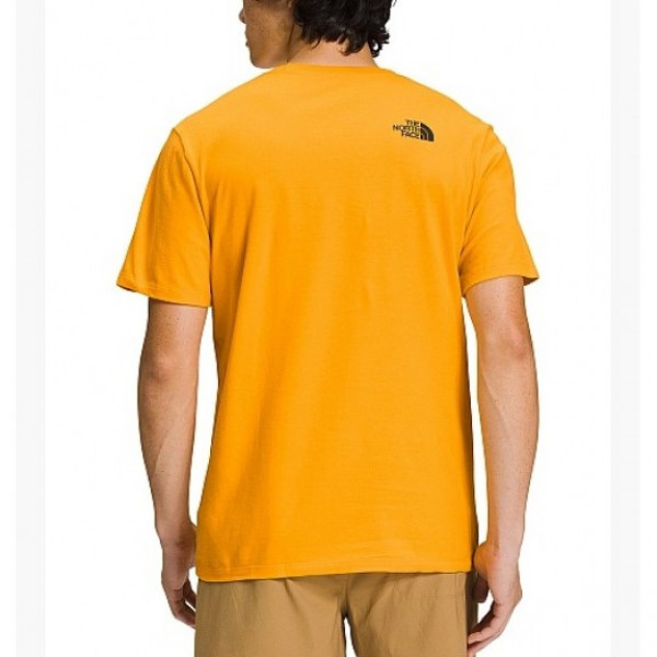 Футболка чоловіча The North Face Short Sleeve Places We Love Camp Geodesic T-Shirt NF0A811S56P