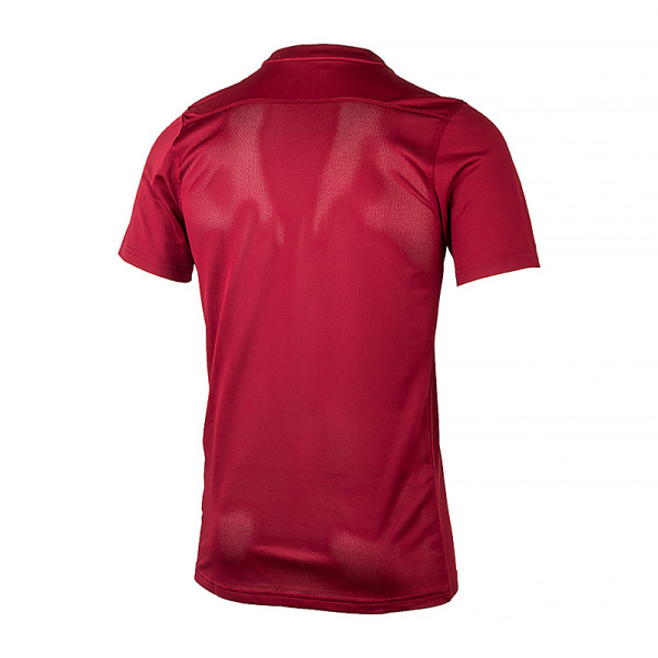 Футболка чоловіча Nike Park Vii Bordo Bv6708-677