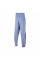 Штани чоловічі Nike M NK SWOOSH FLC PANT DX0564-493