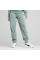 Штани жіночі спортивні SCRIPT Comfort Sweatpants 68498530 Puma Зелений