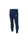 Штани чоловічі Nike Sportswear Club Fleece Blue BV2671-410
