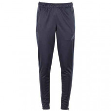 Брюки чоловічі спортивні Adidas Tiro13 (gray) F89487