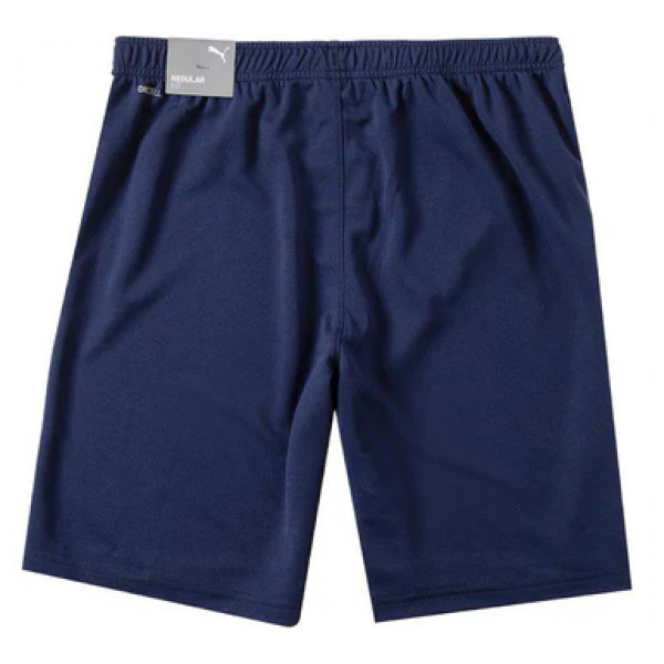 Шорти чоловічі Puma teamRISE Short 704942-06