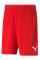 Шорти чоловічі Puma teamRISE Short  704942-01