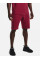 Шорти UA RIVAL TERRY SHORT 1361631-665 Under Armour L Бордовий