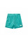 Шорти чоловічі Air Jordan Essentials Mesh Turquoise DH9048-392