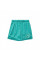 Шорти чоловічі Air Jordan Essentials Mesh Turquoise DH9048-392