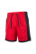 Шорти чоловічі JORDAN DF SPRT MESH SHORT DH9077-687