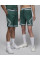 Шорти чоловічі Air Jordan Dri-Fit Sport Diamond Green