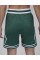 Шорти чоловічі Air Jordan Dri-Fit Sport Diamond Green