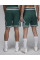 Шорти чоловічі Air Jordan Dri-Fit Sport Diamond Green