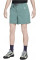 Шорти чоловічі Nike ACG Trail Hiking Shorts Vintage Green FN2430-338