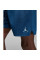 Шорти чоловічі Air Jordan Sport Bc Blue DM1815-493