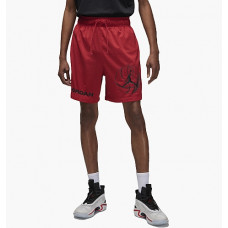 Шорти чоловічі Jordan DF SPRT BC HBR MESH SHORT DZ0569-687
