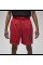 Шорти чоловічі Jordan DF SPRT BC HBR MESH SHORT DZ0569-687