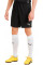 Шорти Puma teamGOAL 23 knit Shorts чорний 704262-03