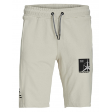 Шорти Jчоловічі PSTFILO SWEAT SHORTS FB SN 12230410-Moonbeam Jack&Jones Бежевий