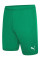 Шорти чоловічі Puma teamRISE Short  704942-05