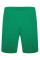 Шорти чоловічі Puma teamRISE Short  704942-05