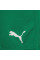 Шорти чоловічі Puma teamRISE Short  704942-05