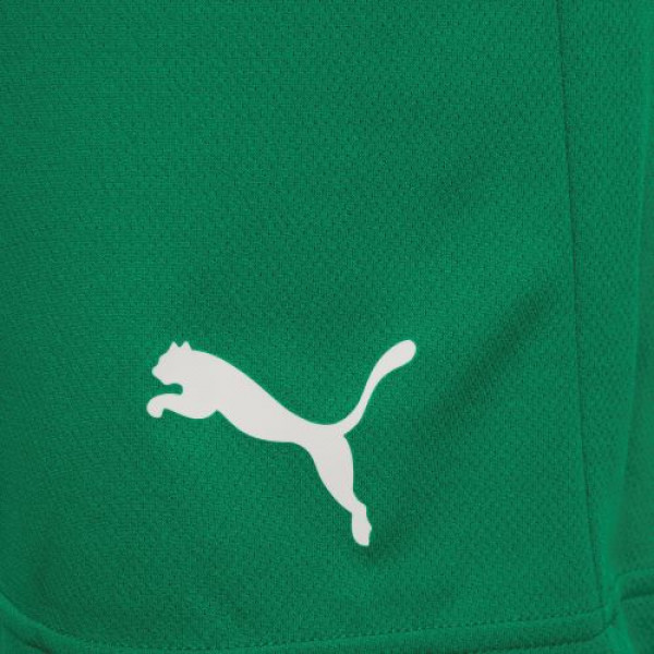 Шорти чоловічі Puma teamRISE Short  704942-05