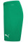 Шорти чоловічі Puma teamRISE Short  704942-05