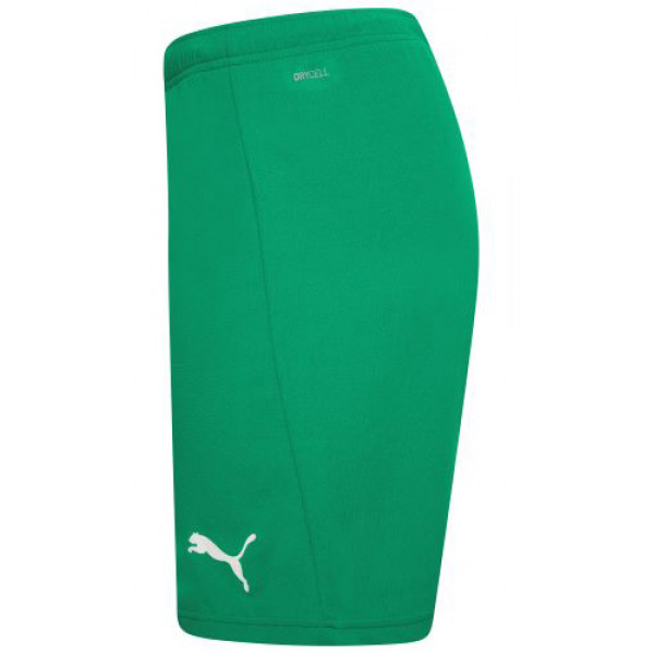 Шорти чоловічі Puma teamRISE Short  704942-05