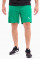 Шорти чоловічі Puma teamRISE Short  704942-05