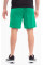 Шорти чоловічі Puma teamRISE Short  704942-05