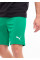 Шорти чоловічі Puma teamRISE Short  704942-05