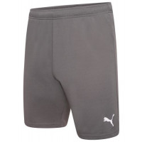 Шорти чоловічі Puma teamRISE Short  704942-13