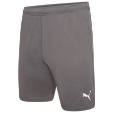 Шорти чоловічі Puma teamRISE Short  704942-13