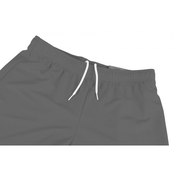 Шорти чоловічі Puma teamRISE Short  704942-13