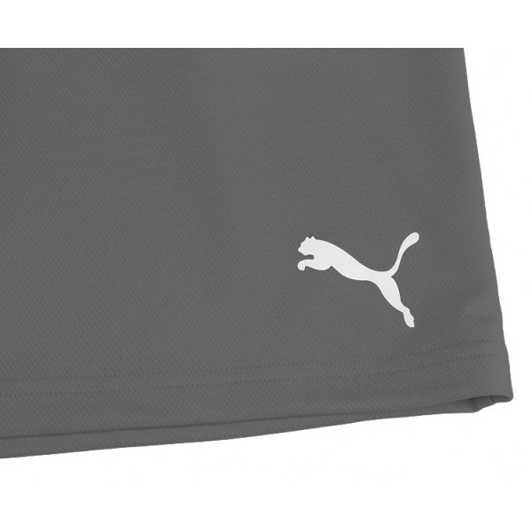 Шорти чоловічі Puma teamRISE Short  704942-13