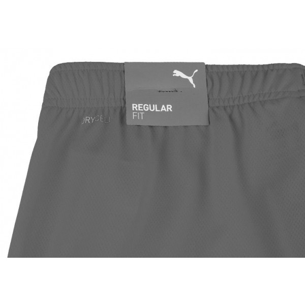 Шорти чоловічі Puma teamRISE Short  704942-13
