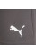 Шорти чоловічі Puma teamRISE Short  704942-13