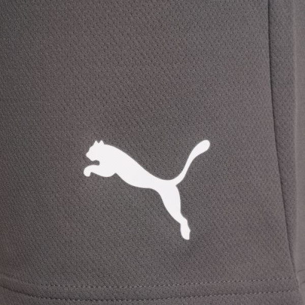 Шорти чоловічі Puma teamRISE Short  704942-13