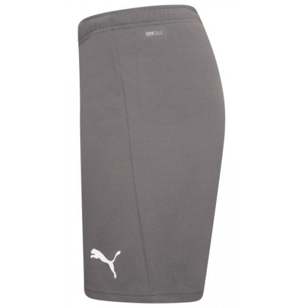 Шорти чоловічі Puma teamRISE Short  704942-13