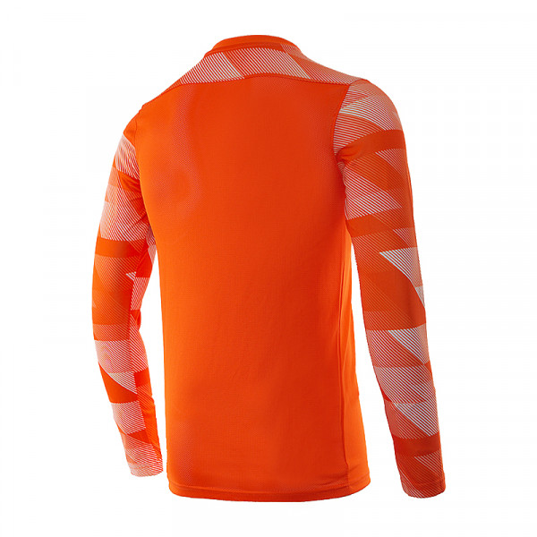 Кофта спортивна чоловіча  Nike Dry Park IV Goalkeeper Jersey Long Sleeve CJ6066-819