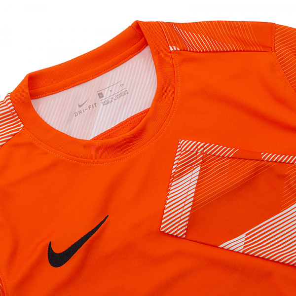Кофта спортивна чоловіча  Nike Dry Park IV Goalkeeper Jersey Long Sleeve CJ6066-819