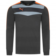 Кофта чоловіча спортивна  PUMA Stadium GK 702089-33 