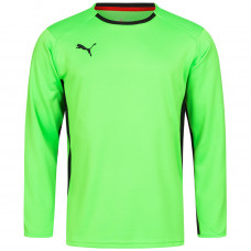 Кофта чоловіча воротаря Puma V1.08 700466-15