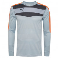 Кофта чоловіча  PUMA Stadium GK 702089-35