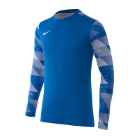 Кофта спортивна чоловіча  Nike Dry Park IV Goalkeeper Jersey Long Sleeve CJ6066-463