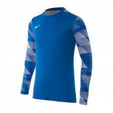 Кофта спортивна чоловіча  Nike Dry Park IV Goalkeeper Jersey Long Sleeve CJ6066-463