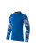 Кофта спортивна чоловіча  Nike Dry Park IV Goalkeeper Jersey Long Sleeve CJ6066-463