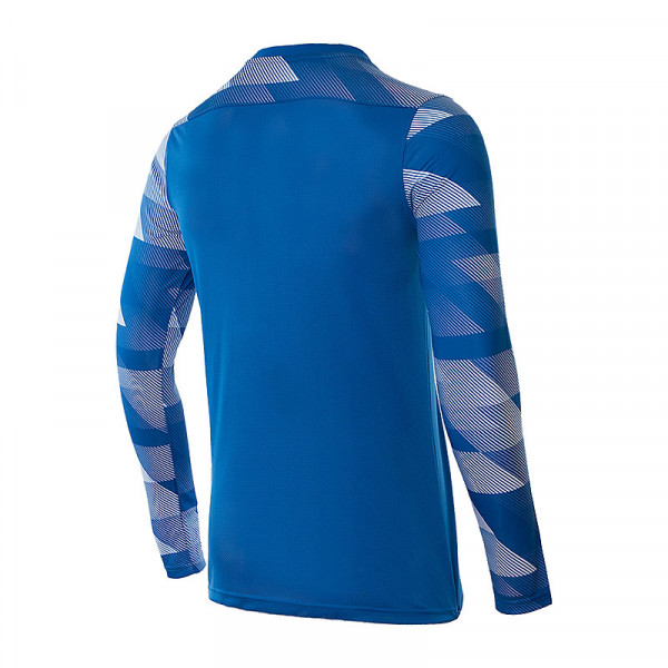 Кофта спортивна чоловіча  Nike Dry Park IV Goalkeeper Jersey Long Sleeve CJ6066-463