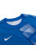 Кофта спортивна чоловіча  Nike Dry Park IV Goalkeeper Jersey Long Sleeve CJ6066-463